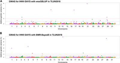 Genome-wide association analysis of the resistance to infectious hematopoietic necrosis virus in two rainbow trout aquaculture lines confirms oligogenic architecture with several moderate effect quantitative trait loci
